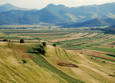 Rolling landscape with haystacks as seen from the Szekely Rock.